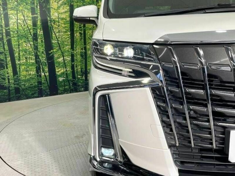 ALPHARD-13