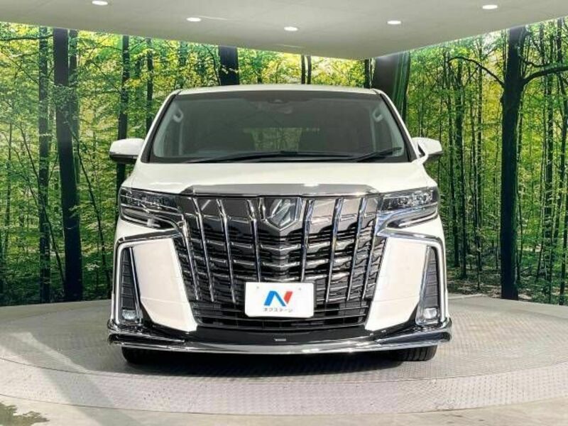 ALPHARD-15