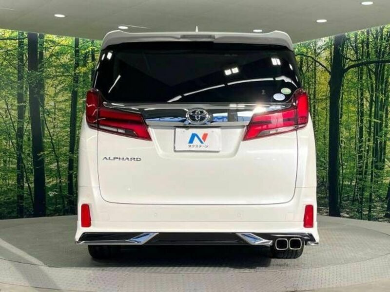 ALPHARD-16