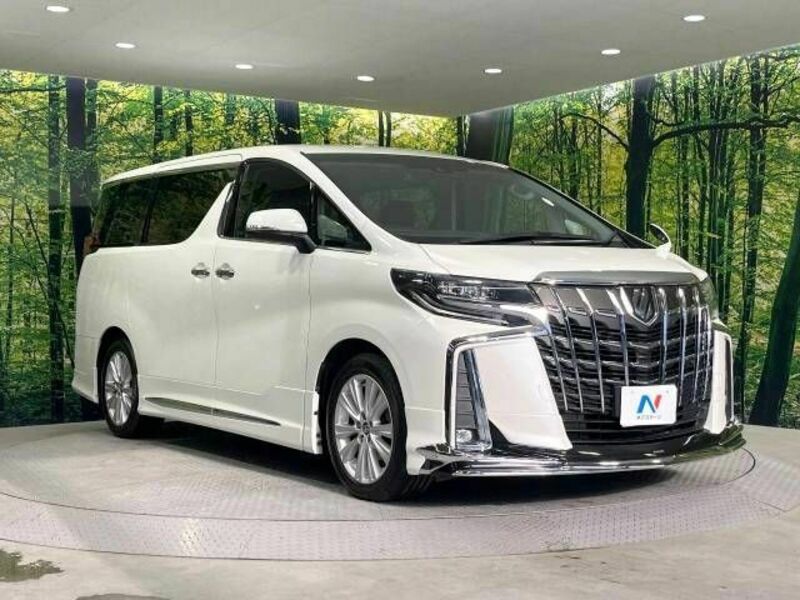ALPHARD-17