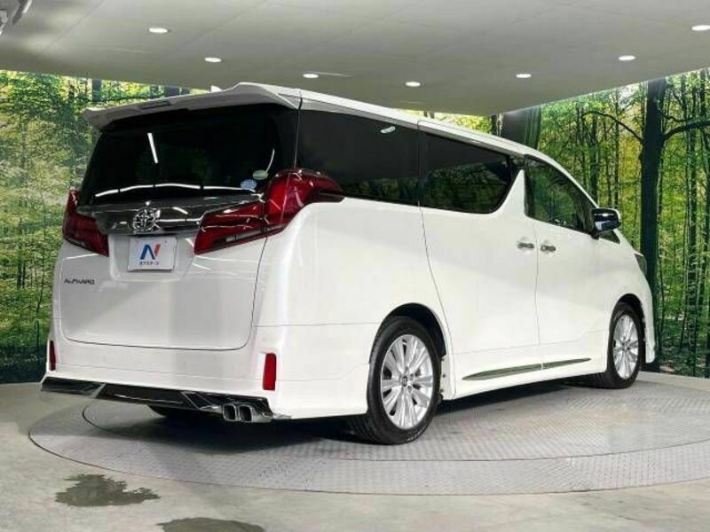 ALPHARD-18