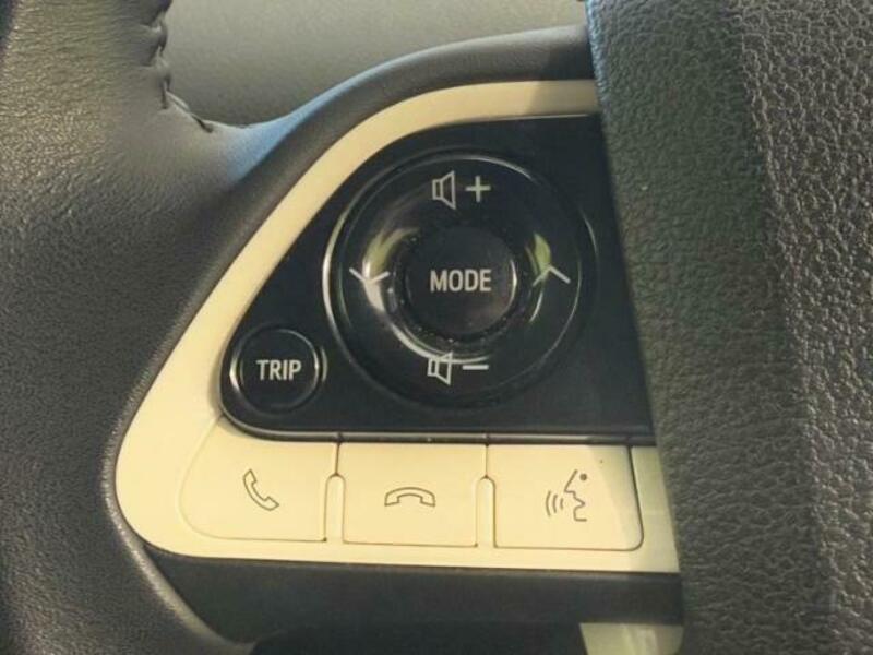 PRIUS-13