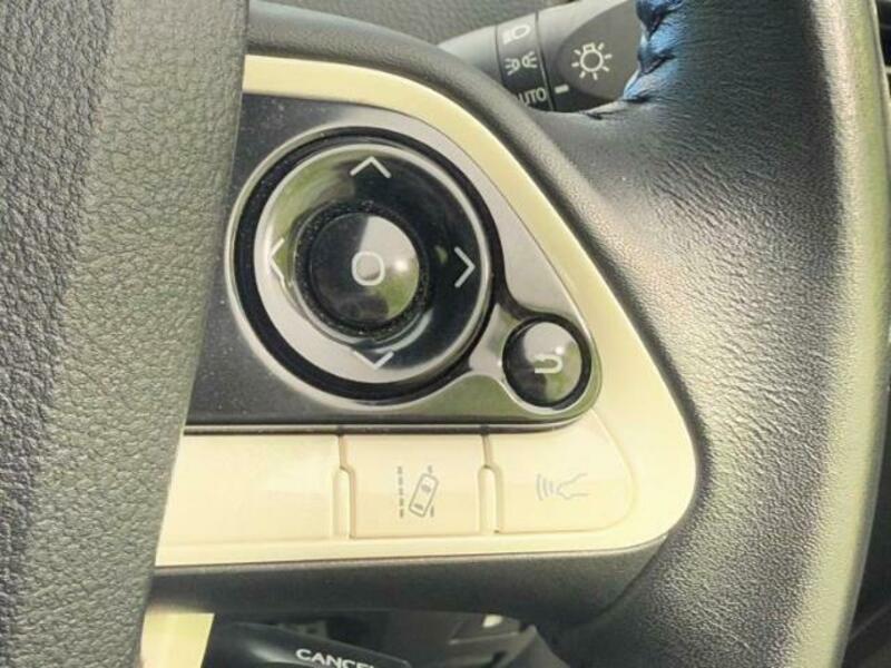 PRIUS-14