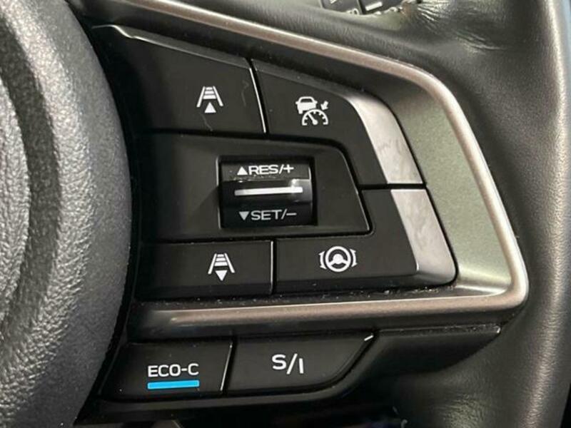 FORESTER-5