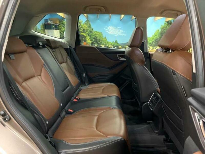 FORESTER-8