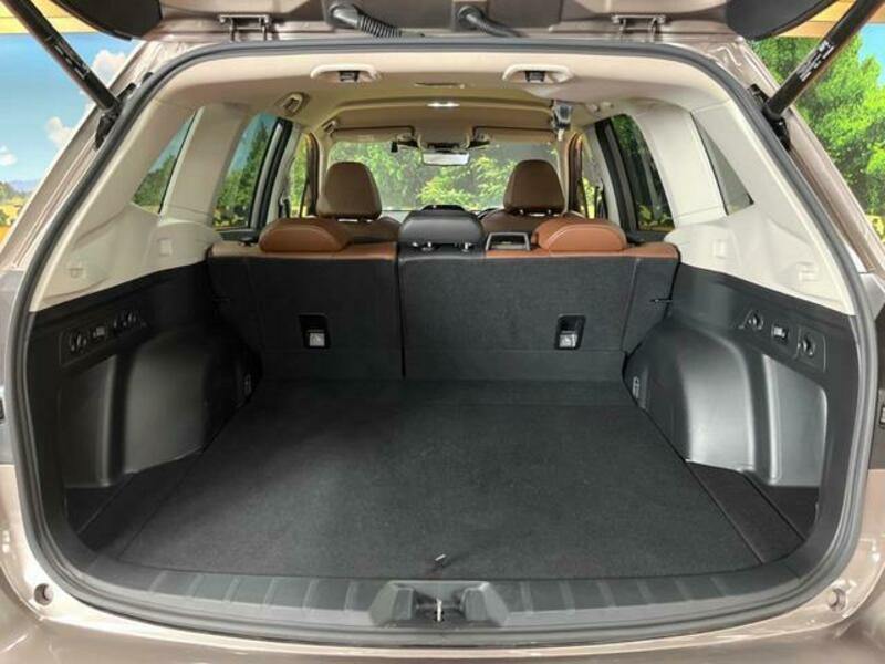 FORESTER-9