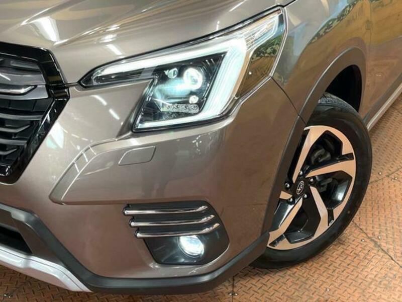 FORESTER-11