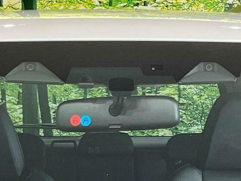 FORESTER-2