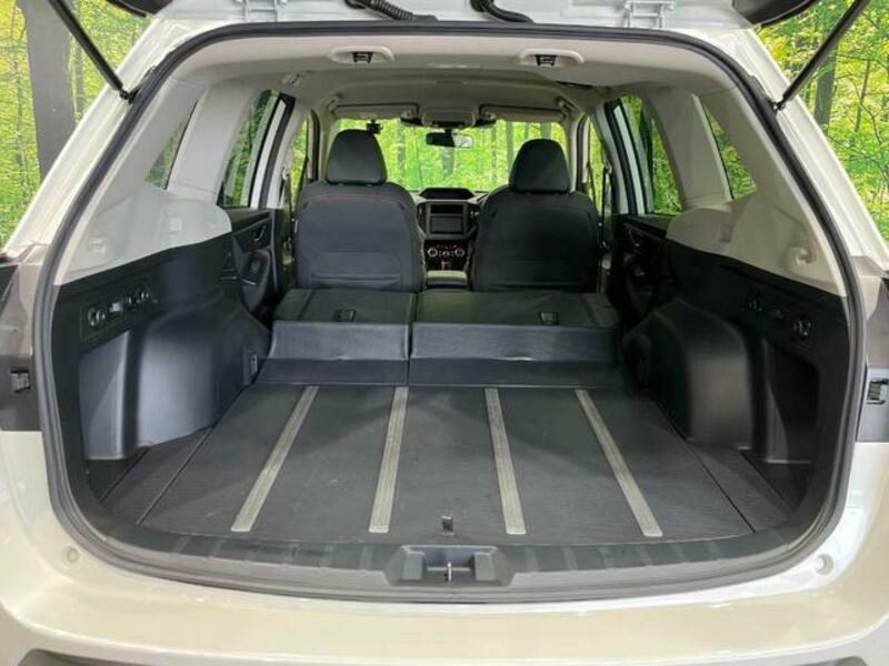 FORESTER-9