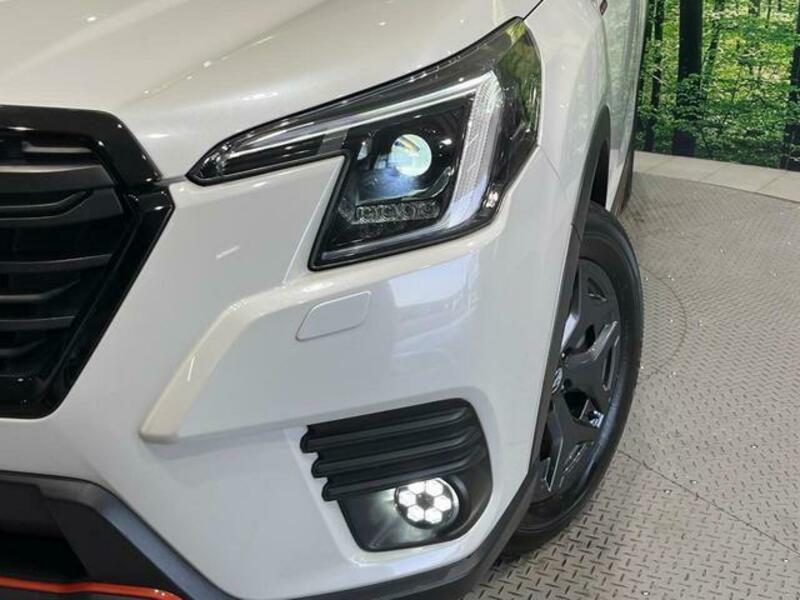 FORESTER-11