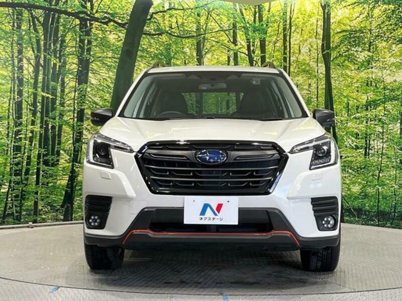 FORESTER-13