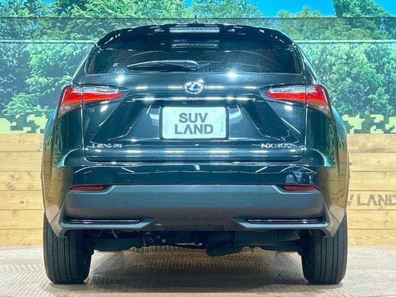 NX