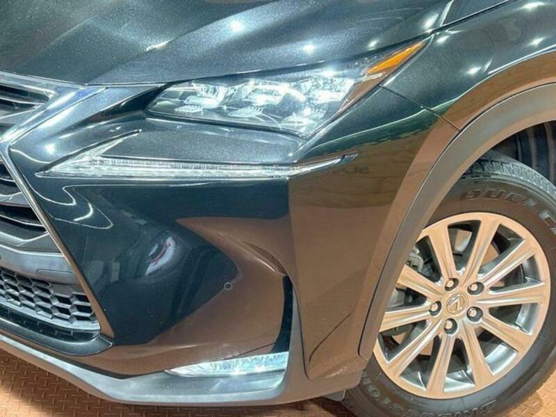 NX