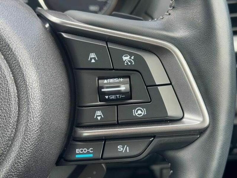 FORESTER-6