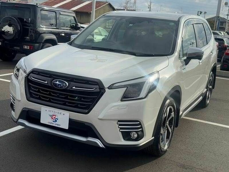 FORESTER-13