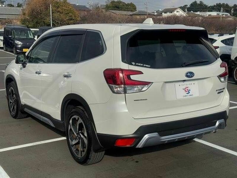 FORESTER-15