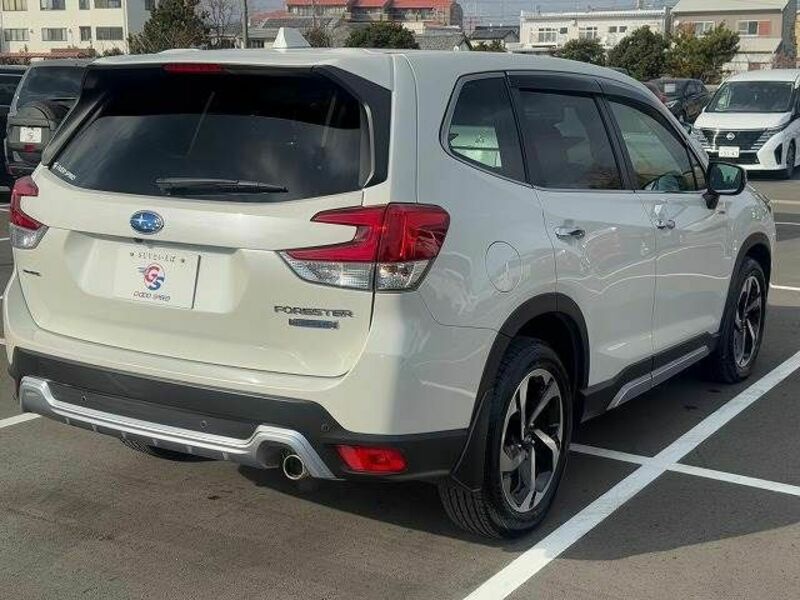 FORESTER-16