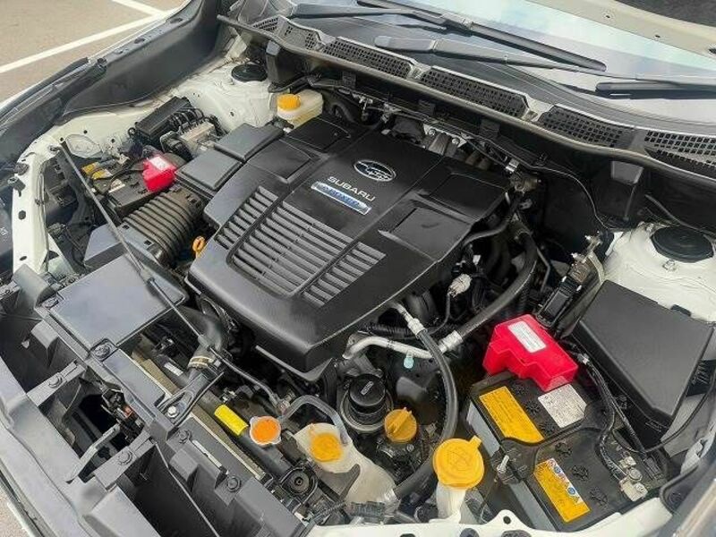FORESTER-17