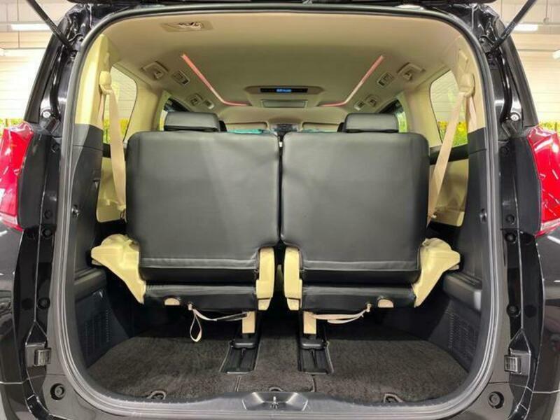 ALPHARD-10