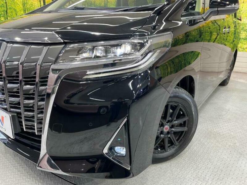 ALPHARD-12