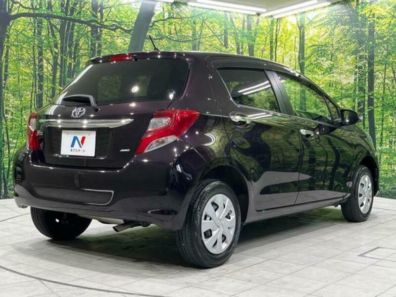 VITZ-17