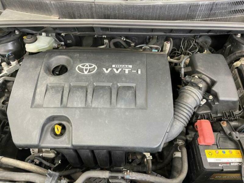 COROLLA RUMION