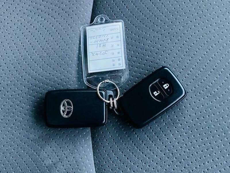 PRIUS-6