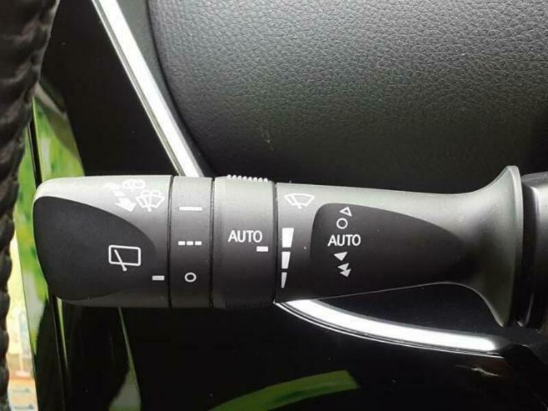 PRIUS-16