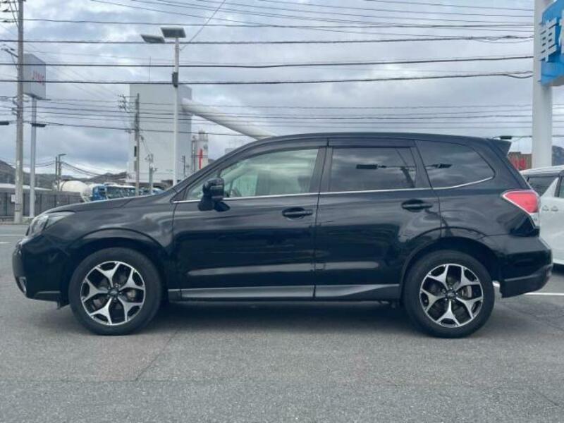 FORESTER