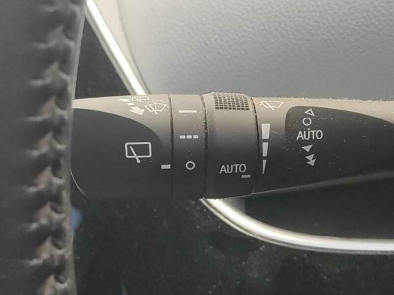 PRIUS-16