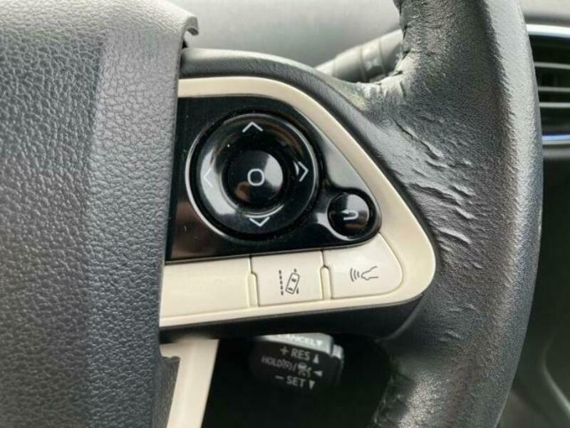 PRIUS-15