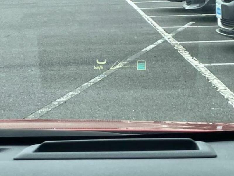 PRIUS-16