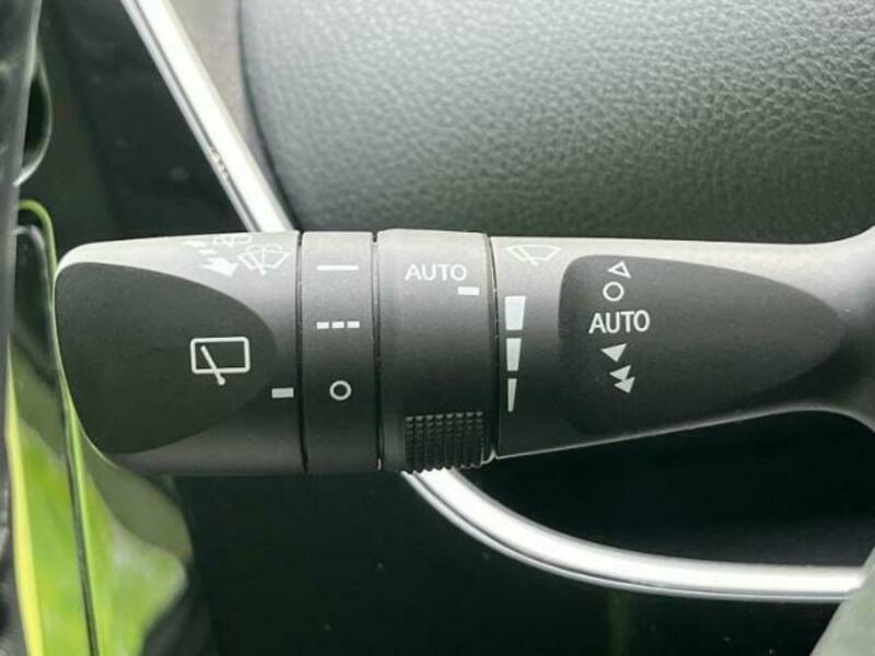 PRIUS-16