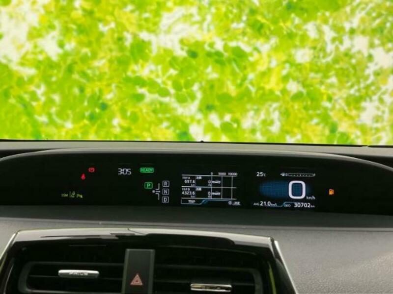 PRIUS-13