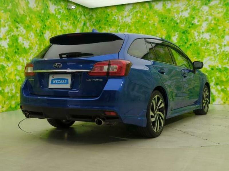 LEVORG