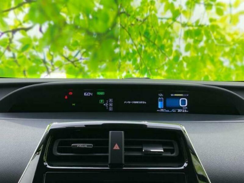 PRIUS-13
