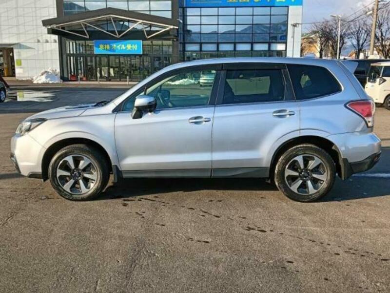 FORESTER