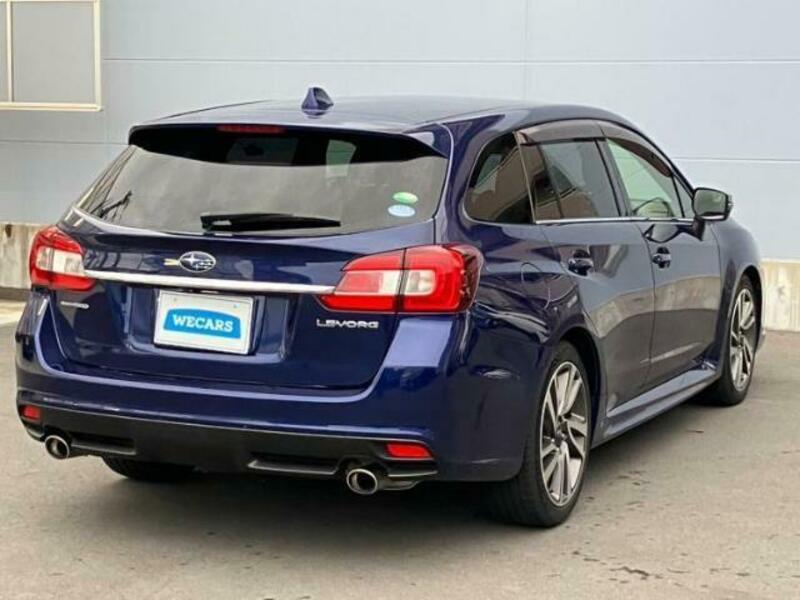 LEVORG