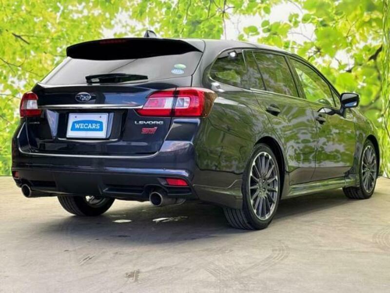 LEVORG