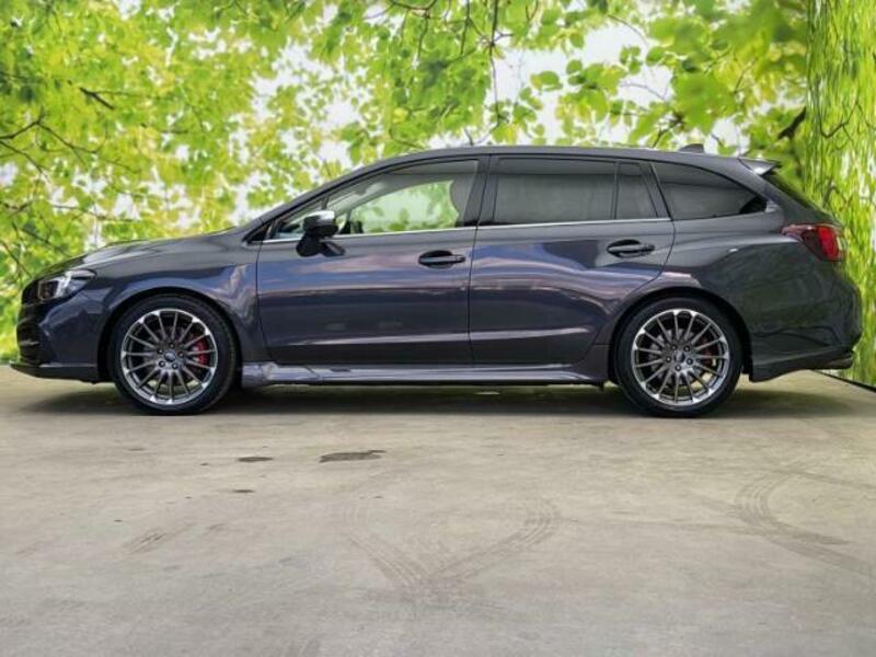 LEVORG