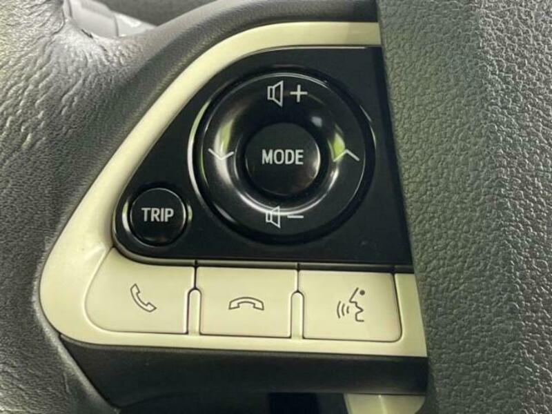PRIUS-15