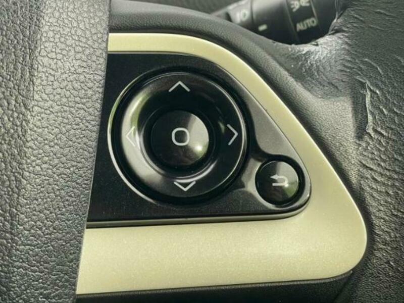 PRIUS-16