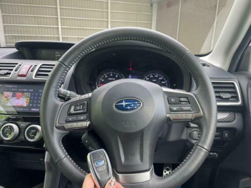 FORESTER-15