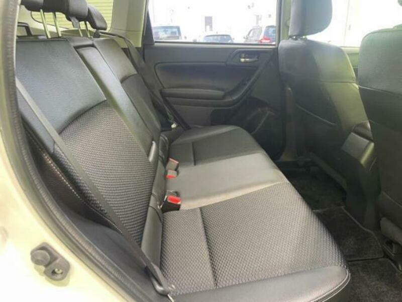 FORESTER-6