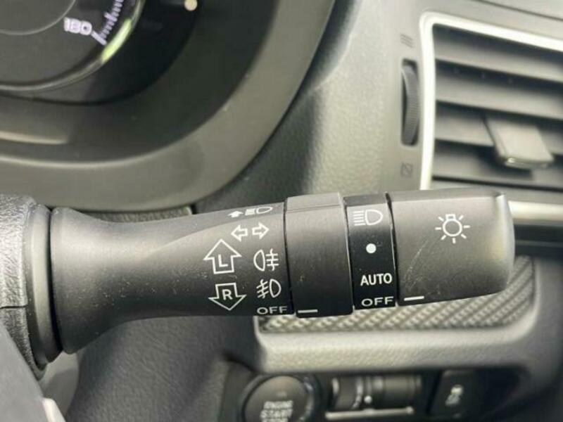 FORESTER-17