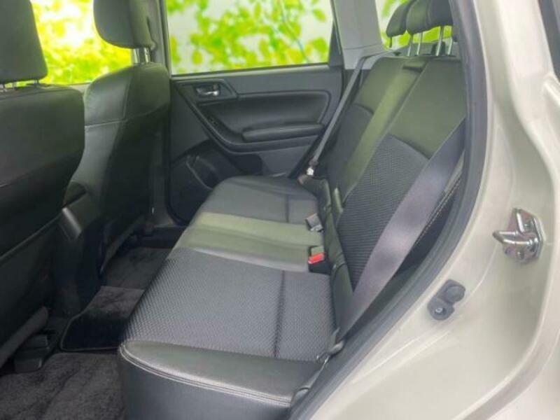 FORESTER-7