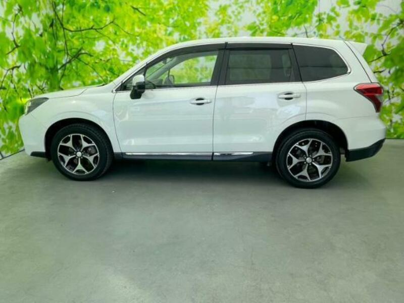 FORESTER-1