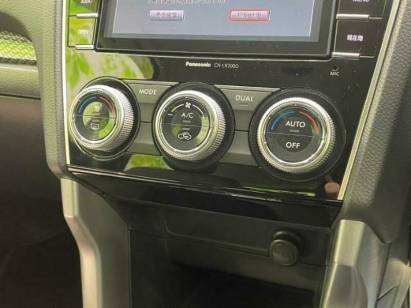 FORESTER-13