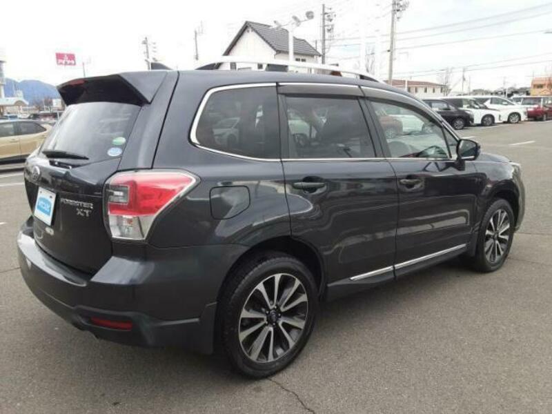 FORESTER