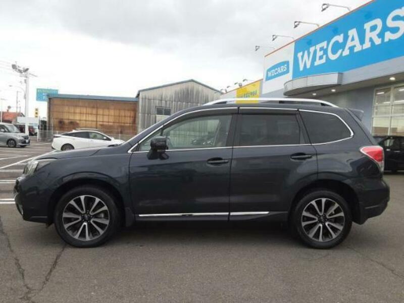 FORESTER